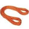 Mammut 9.0 Alpine Sender Dry Rope Corda Arrampicata -Negozio al dettaglio Motican 2010 04200 11237 main min 2