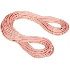 Mammut 9.9 Gym Workhorse Classic Rope Corda Arrampicata -Negozio al dettaglio Motican 2010 04310 01243 main 160248