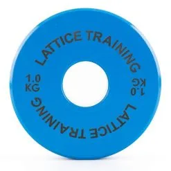 Lattice Training Fractional Weight Plates Piastre Di Peso -Negozio al dettaglio Motican fractional weight plates 2 768x768 1